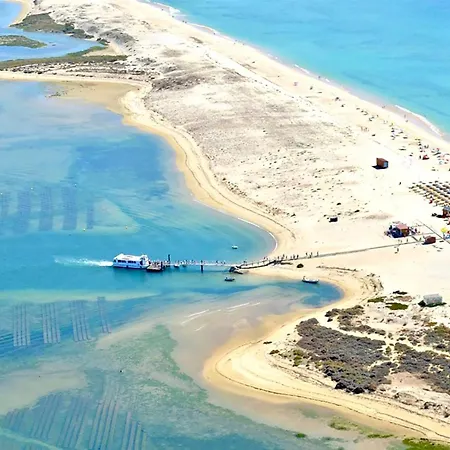 Casa Florence - Dom wakacyjny